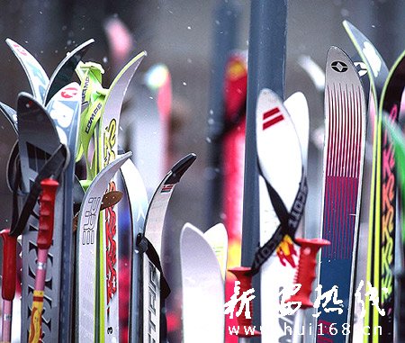 滑雪板