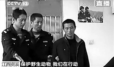 江西资溪林业局长等4人因猕猴遭屠杀事件被免职