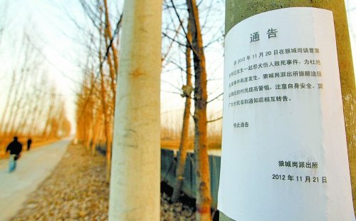 环卫工被狗咬死续 村民称村干部作案可能性大