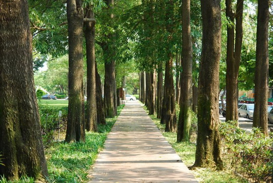 美术绿园道