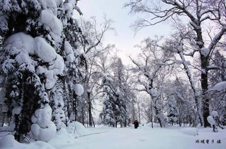 雪中送“探” 中国雪乡旅游实用攻略