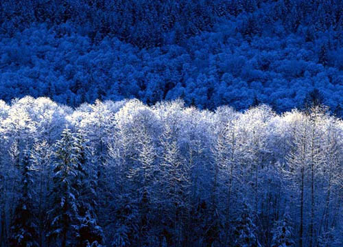 长白山雪景