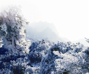 感受江西庐山的雪中恋歌
