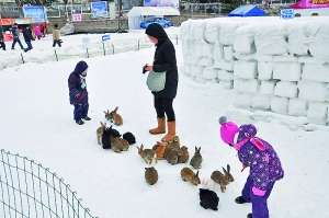 北京冰雪狂欢新装上阵 引入新“主题”一站休闲