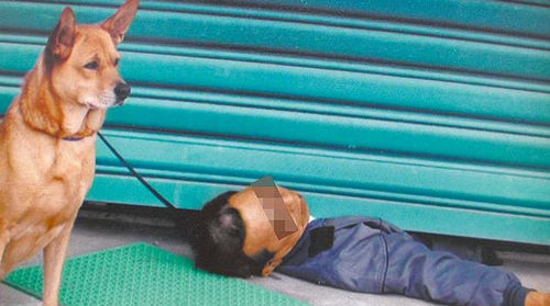 林时福疑返家时被狗链绊倒,遭铁卷门压住头胸致死