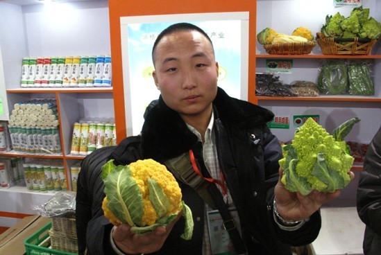 点击图片进入下一页