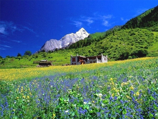 四姑娘山