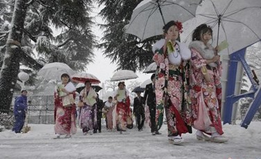 日本暴风雪致300余人受伤 2.8万户家庭停电