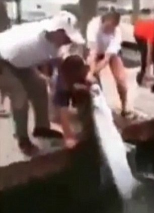这名垂钓者的大半条胳膊被大鱼吞进了肚子