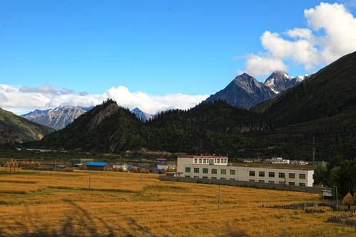 宁静的环境