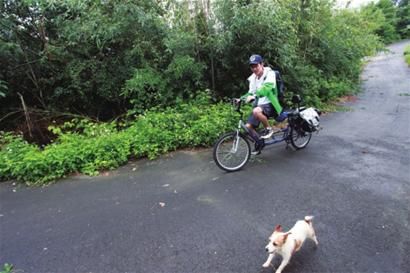 与狗狗赛跑