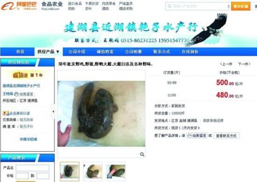 销售娃娃鱼的网店