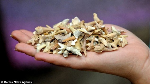ݵĹԱˮصײ12000 data-cke-saved-src=