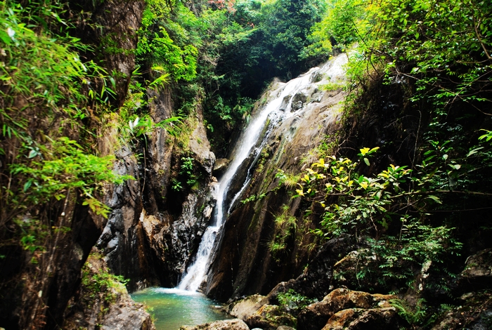 新春乐游三桠塘 登山祈福行大运
