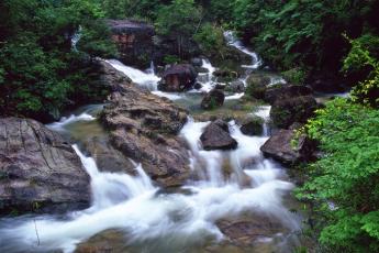 新春乐游三桠塘 登山祈福行大运
