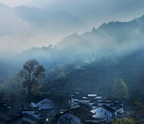 梦中老家,三月去婺源赏油菜花
