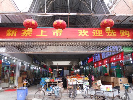 合肥新茶提前上市 毛峰黄芽提前上市 新茶提前上市便宜10%