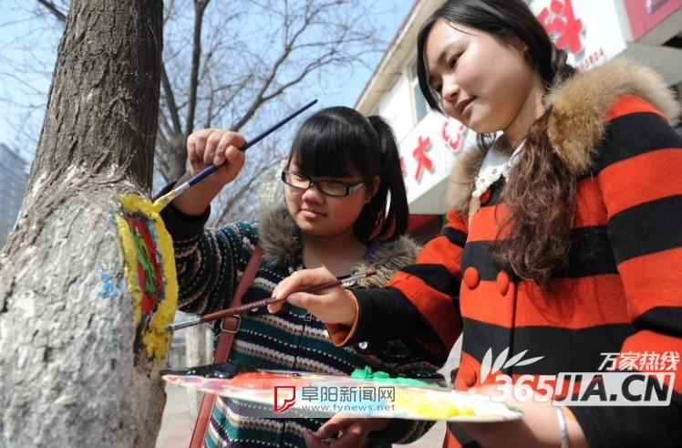 阜城街头“树洞画”获市民称赞