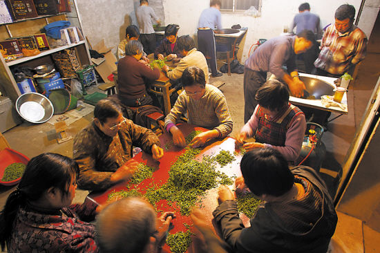 入夜,各家堂屋里的灯几乎都点着,家眷们都围坐在桌边忙碌,桌子上满满当当的青叶等待着最苛刻的挑拣