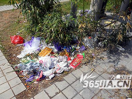 合肥小蜀山陵园 清明祭祀 清明小蜀山 文明祭祀 清明节